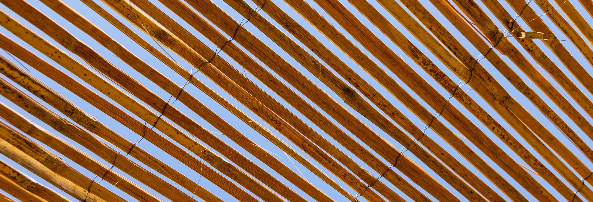 First slide